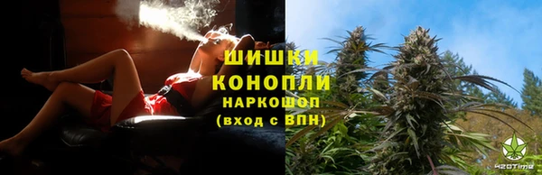 ГАЛЛЮЦИНОГЕННЫЕ ГРИБЫ Баксан